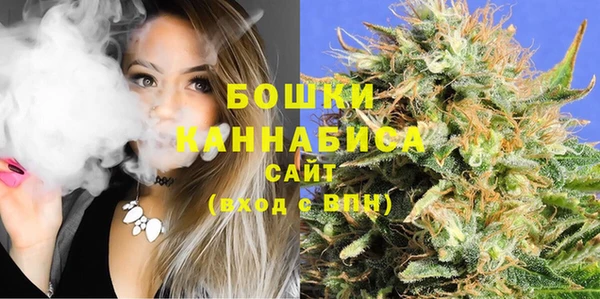 гидра Горно-Алтайск