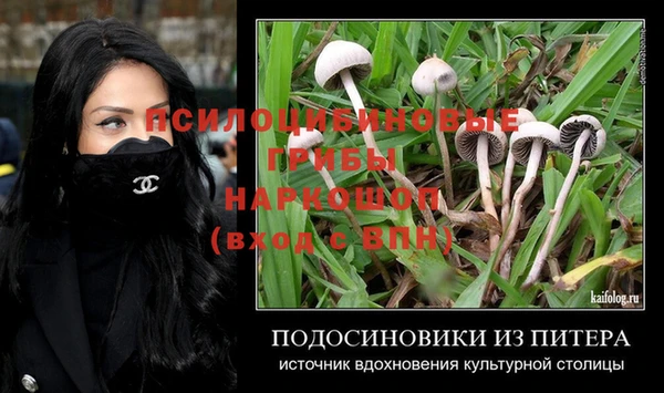 COCAINE Гусев