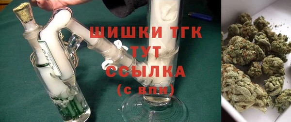 гидра Горно-Алтайск